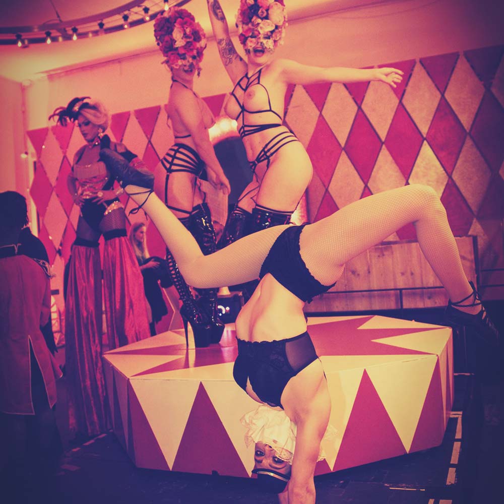 BLS-circus-12